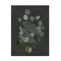 Trademark Fine Art Katie O'Shea Eucalyptus Leaves III Canvas Wall Art