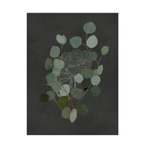 Trademark Fine Art Katie O'Shea  Eucalyptus Leaves IV Canvas Wall Art