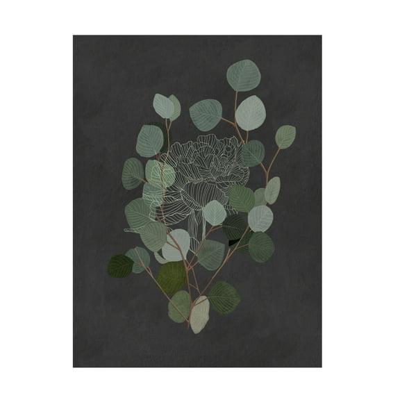 Trademark Fine Art Katie O'Shea  Eucalyptus Leaves IV Canvas Wall Art