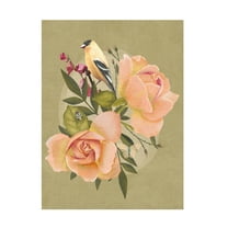 Trademark Fine Art Katie O'Shea Goldfinch and Flowers I Canvas Wall Art