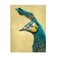 thumbnail image 1 of Trademark Fine Art Katie O'Shea Peacock Profile I Canvas Wall Art, 1 of 4