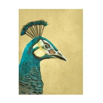 Trademark Fine Art Katie O'Shea Peacock Profile II Canvas Wall Art