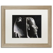 Trademark Fine Art 'Katin Parrot' Canvas Art by Nick Bantock, White Matte, Wood Frame