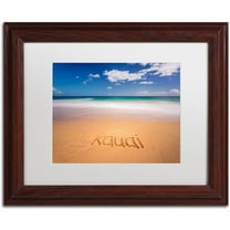 Trademark Fine Art 'Kauai' Canvas Art by Pierre Leclerc, White Matte, Wood Frame