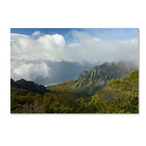 Trademark Fine Art 'Kauai Kalalou Canyon' Canvas Art by Mike Jones Photo