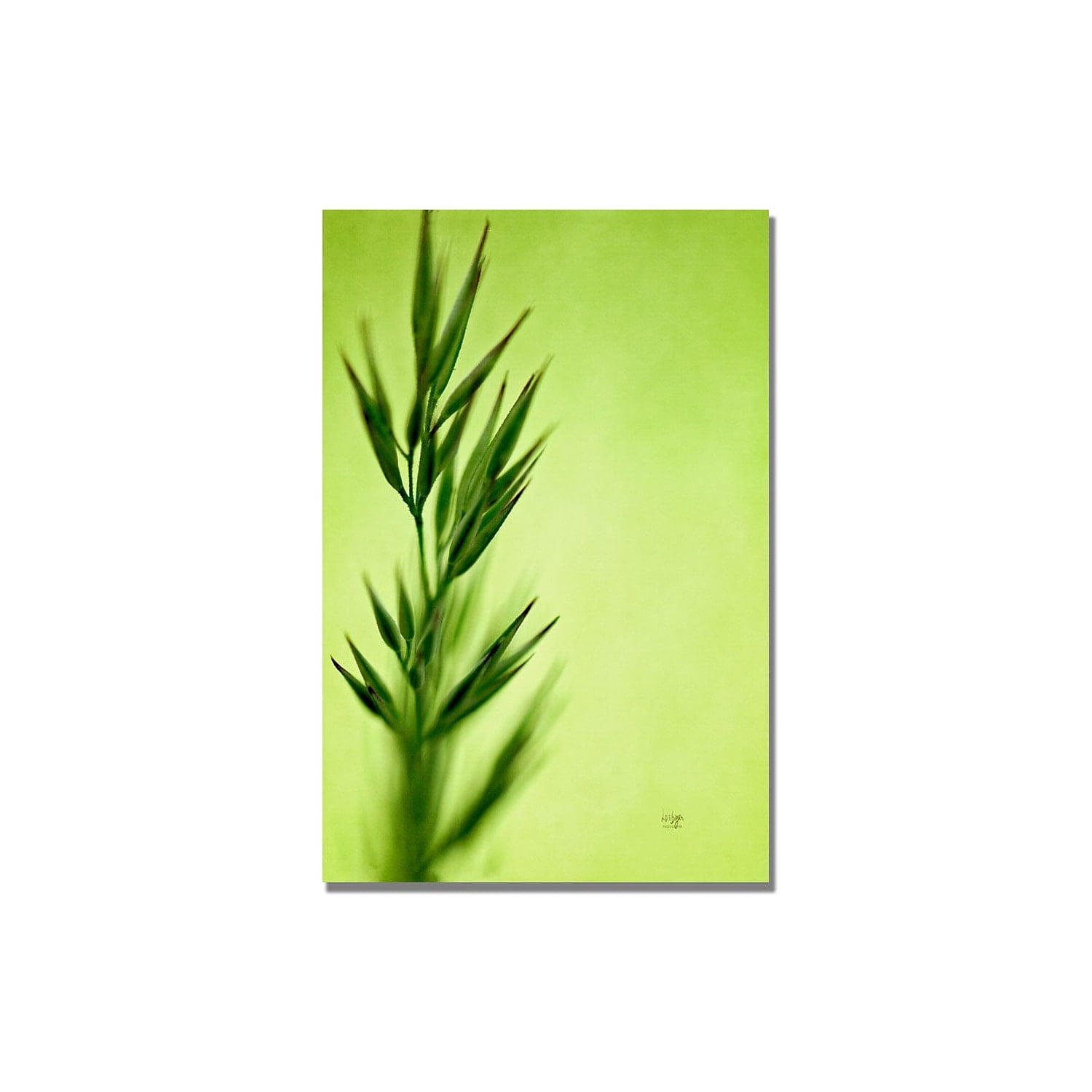 Lois Bryan Green Plant Canvas Print Wall Art
