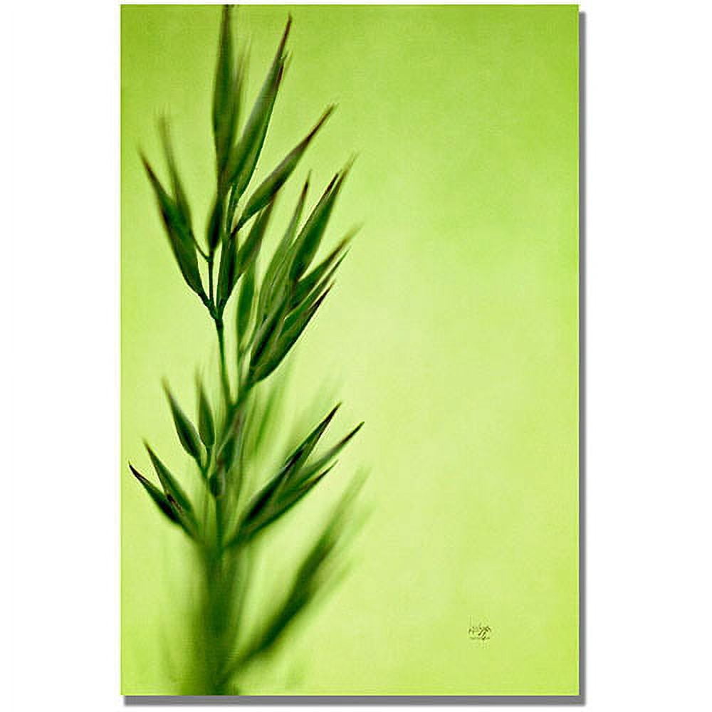 Trademark Fine Art "Keep Green II" Canvas Wall Art by Lois Bryan