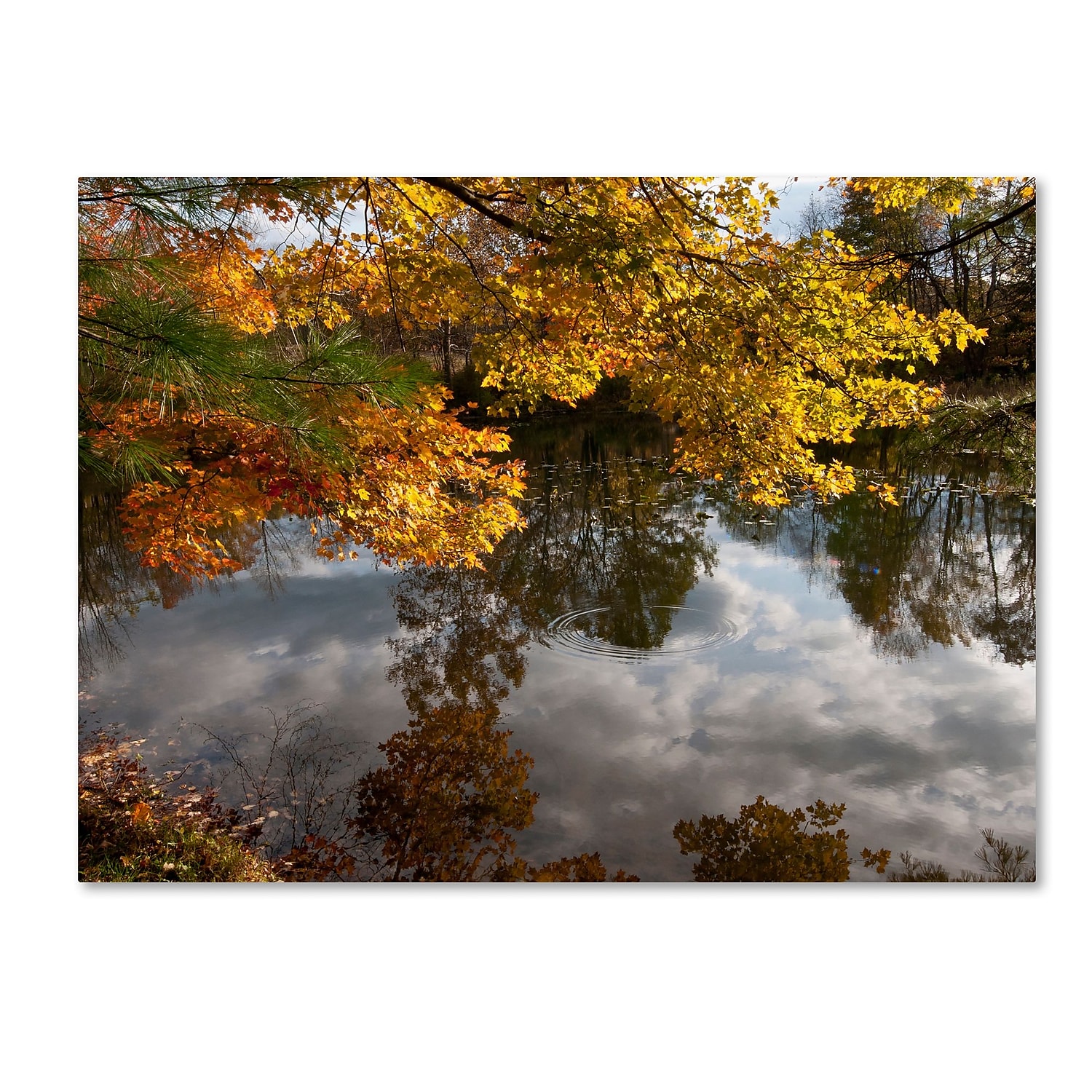 Trademark Fine Art "Kendal Lake Autumn Reflection" Canvas Art by Kurt Shaffer
