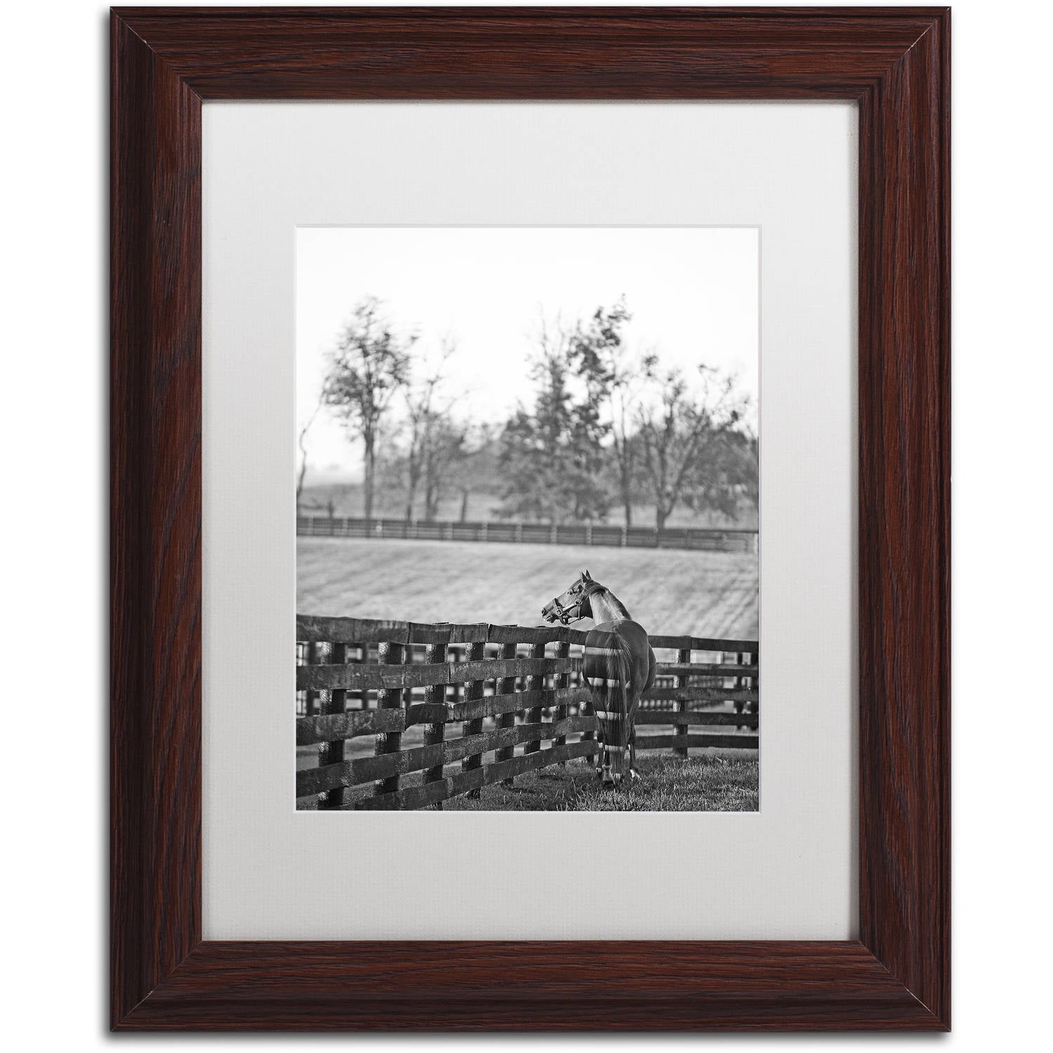Kentucky Horse Sunrise Black and White Canvas Print with Wooden Frame