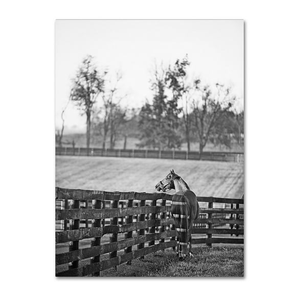 Trademark Fine Art "Kentucky Horse Sunrise BW" Canvas Art by Preston
