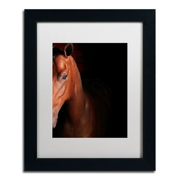 Trademark Fine Art "Kentucky horse Intense" Canvas Art by Preston White Mat, Black Frame