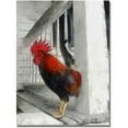 thumbnail image 1 of Trademark Fine Art "Key West Rooster" Canvas Art by Michelle Calkins, 1 of 3