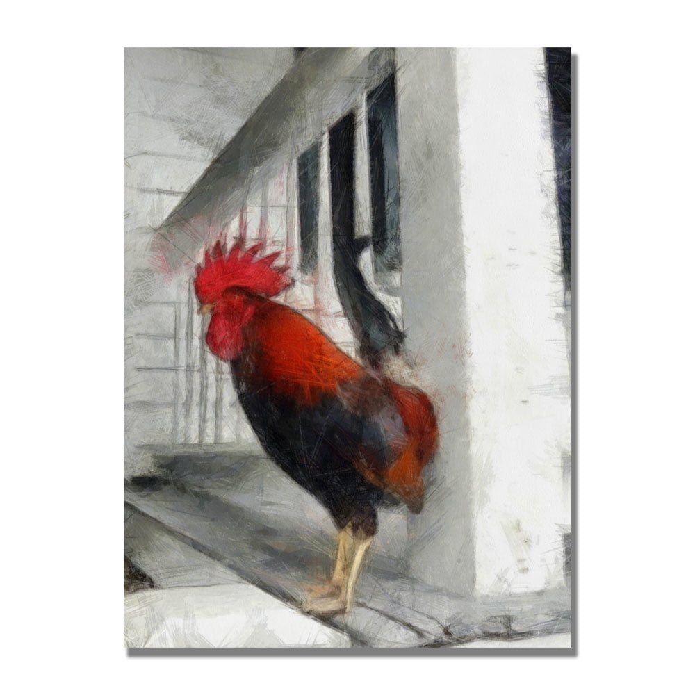 Trademark Fine Art "Key West Rooster" Canvas Art by Michelle Calkins