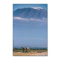 thumbnail image 1 of Trademark Fine Art 'Kilimanjaro And The Quiet Sentinels' Canvas Art by Jeffrey C. Sink, 1 of 3