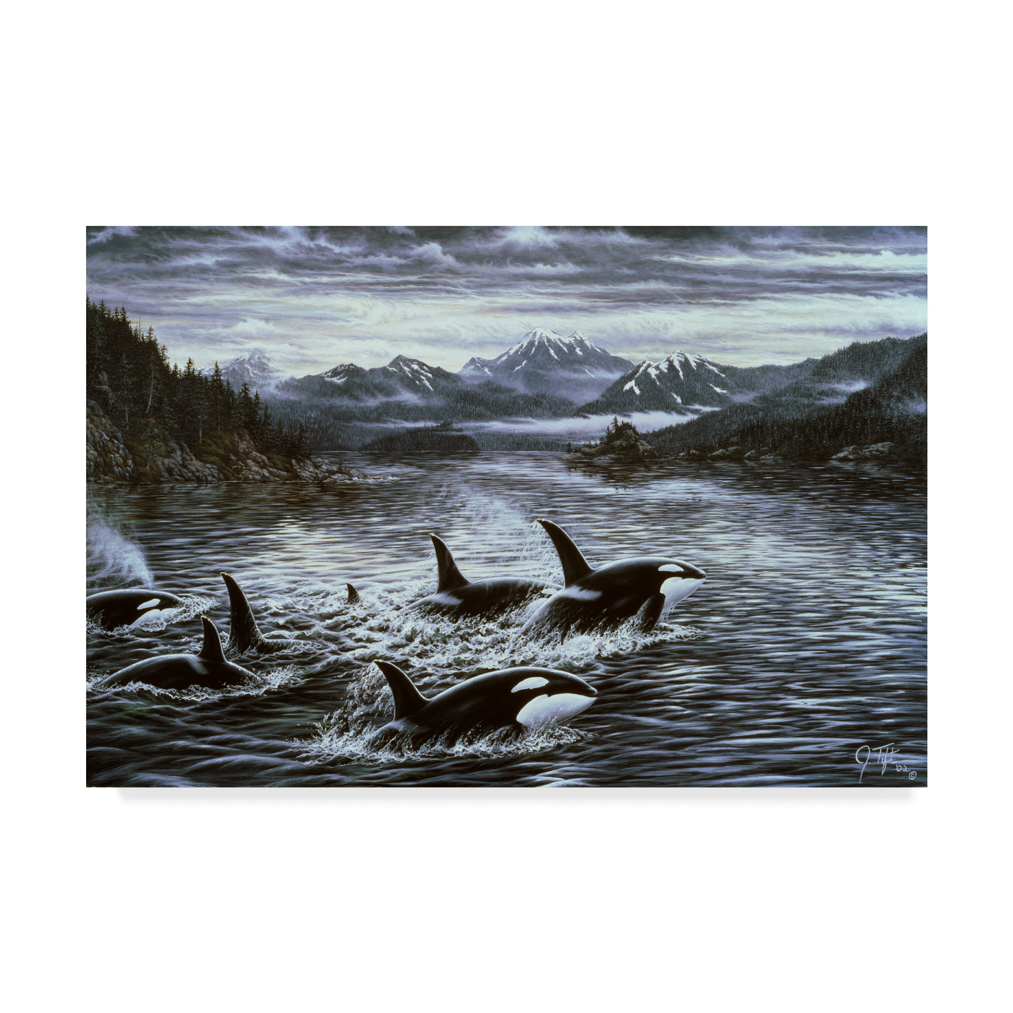 Trademark Fine Art 'Killer Whales' Canvas Art by Jeff Tift