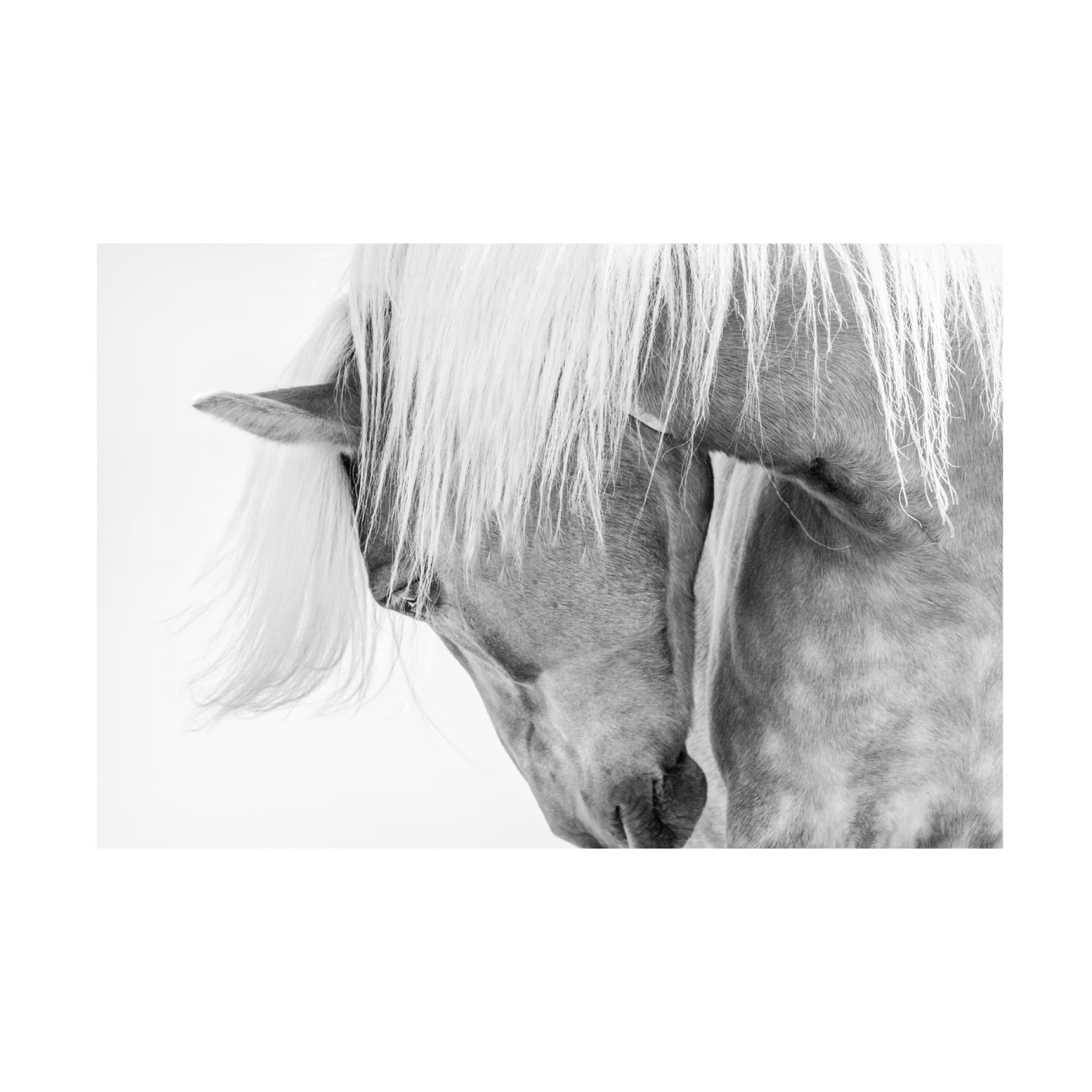 Trademark Fine Art Kimberly Halflinger Portrait Canvas Wall Art