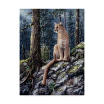 Trademark Fine Art 'King Of The Forest' Canvas Art by Jeff Tift