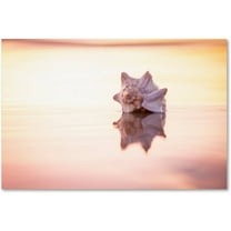 Trademark Fine Art "King of the Beach" Canvas Art by Chris Moyer