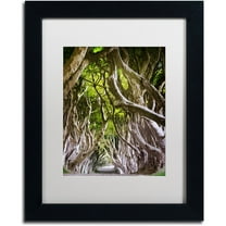 Trademark Fine Art "King of the Woods" Canvas Art by Philippe Sainte-Laudy, White Matte, Black Frame