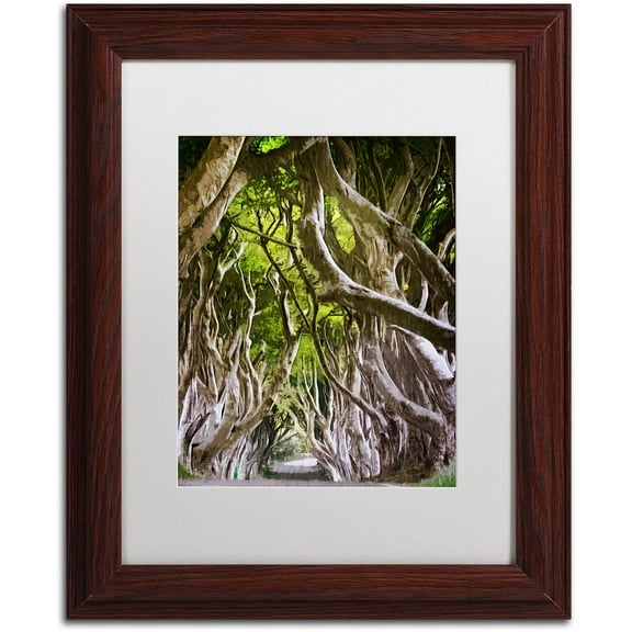 Trademark Fine Art "King of the Woods" Canvas Art by Philippe Sainte-Laudy, White Matte, Wood Frame