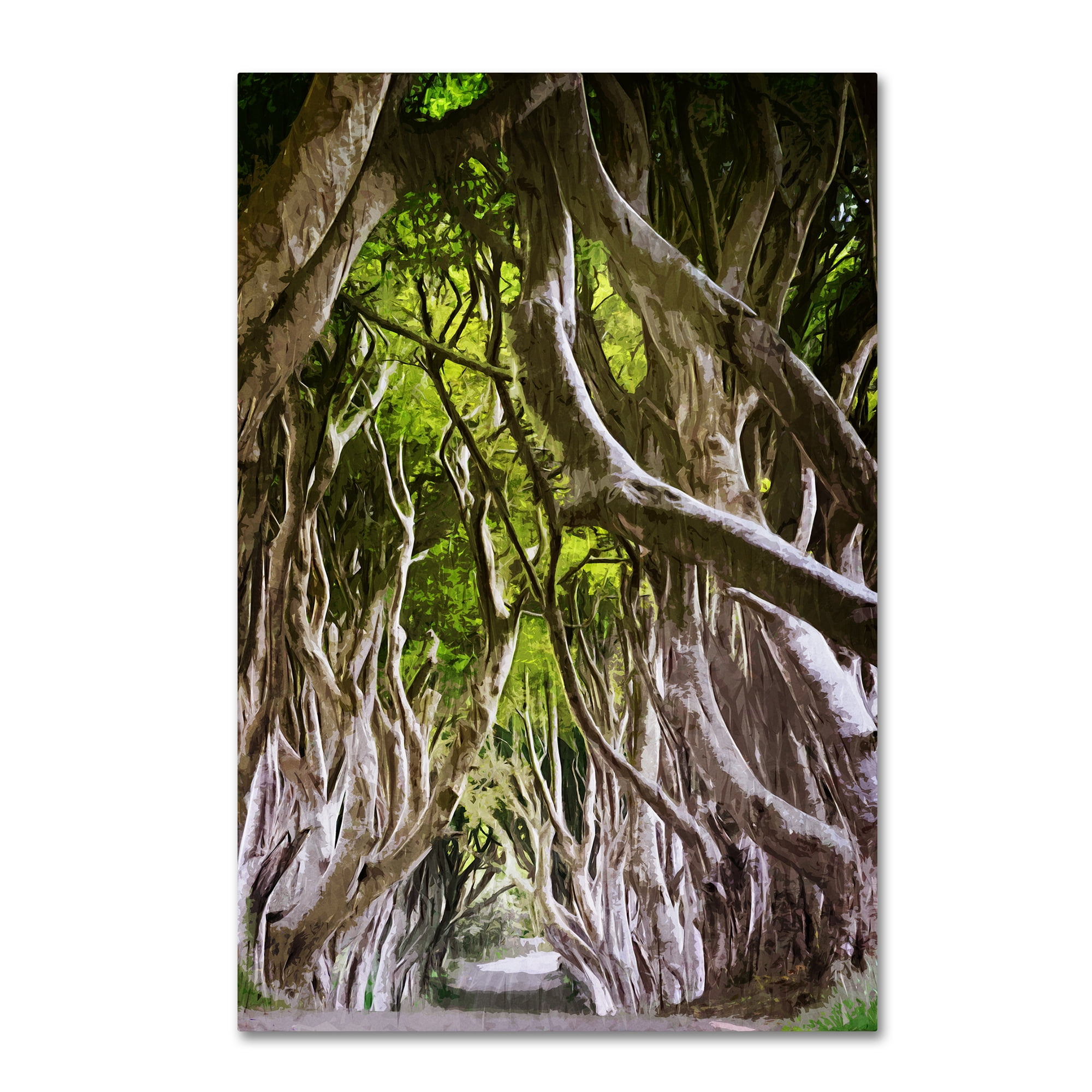 Trademark Fine Art "King of the Woods" Canvas Art by Philippe Sainte-Laudy