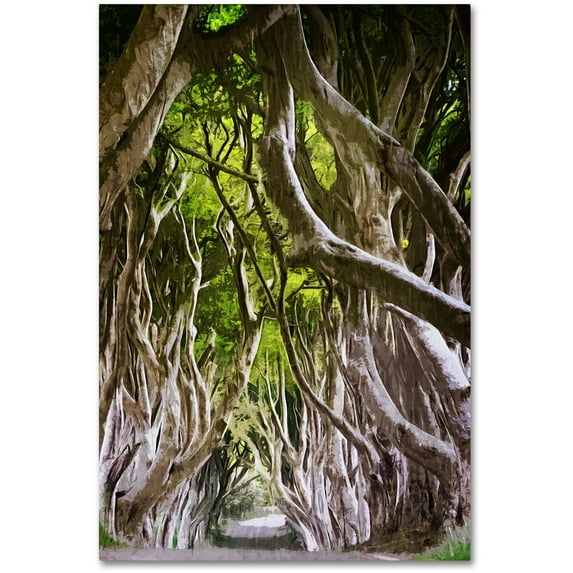 Trademark Fine Art "King of the Woods" Canvas Art by Philippe Sainte-Laudy