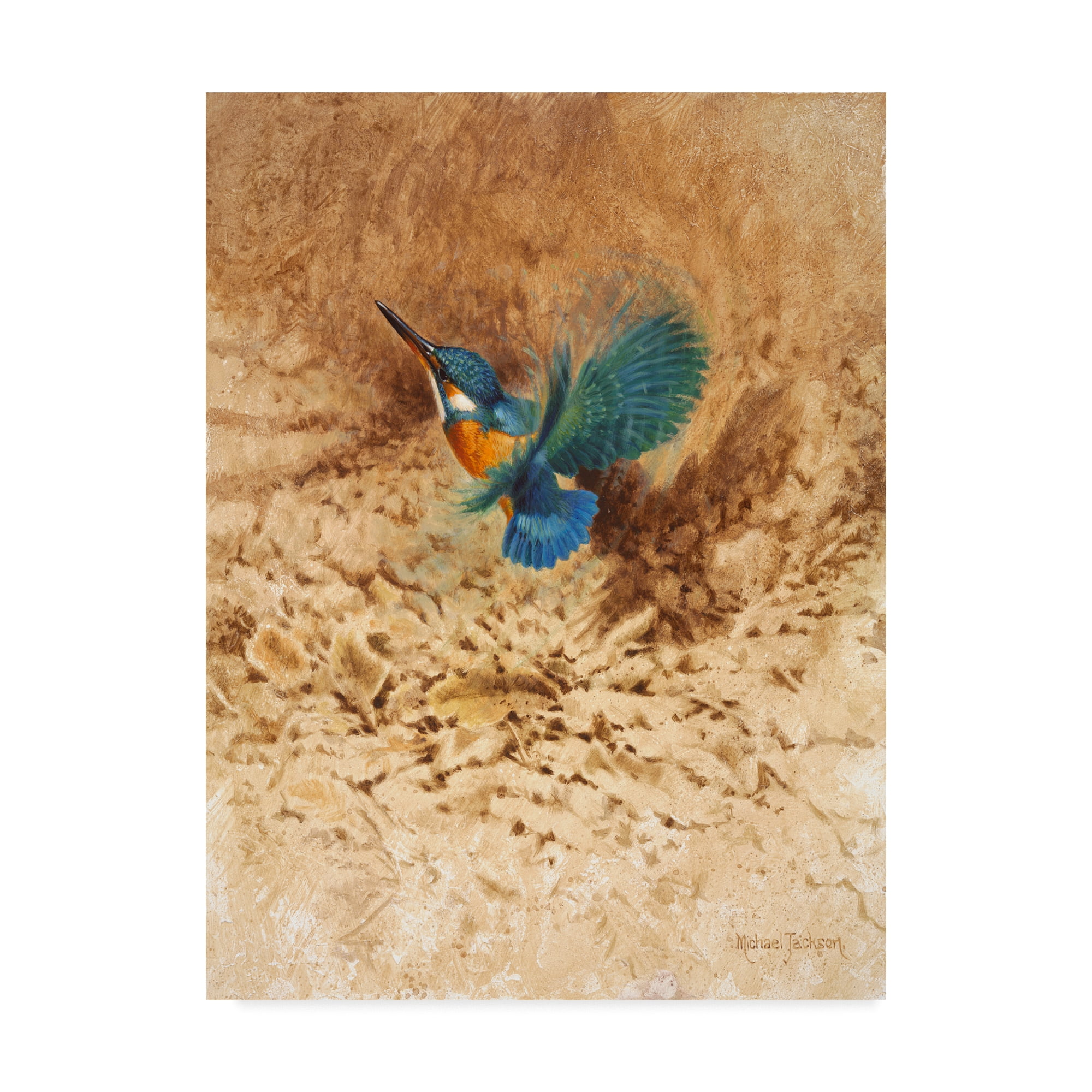 Trademark Fine Art 'Kingfisher Study' Canvas Art by Michael Jackson