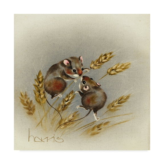 Trademark Fine Art 'Kissin Cousins' Canvas Art by Peggy Harris