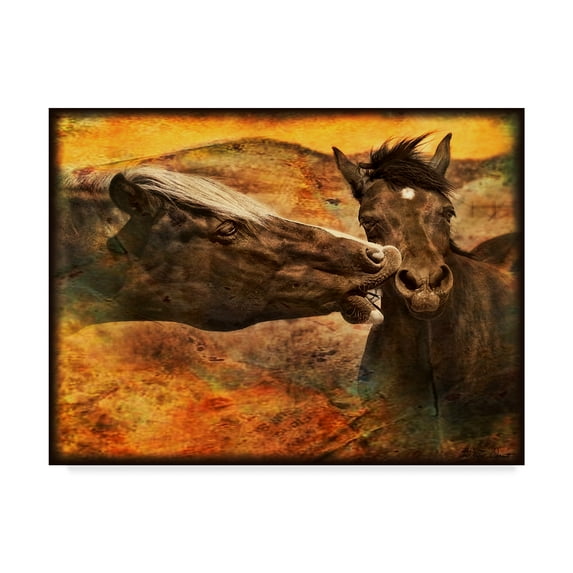 Trademark Fine Art 'Kissing Horses I' Canvas Art by David Drost