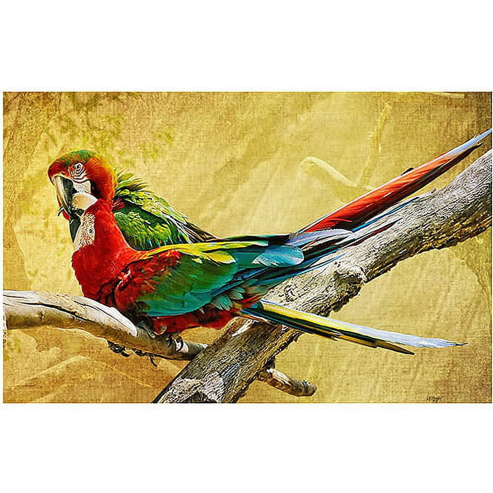 Kissing Macaws Horizontal Canvas Wall Art with Wooden Frame