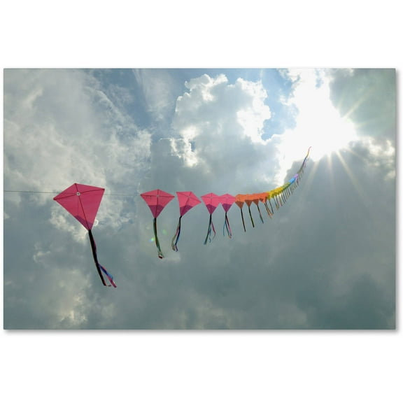 Trademark Fine Art "Kites to Heaven" Canvas Art by Kurt Shaffer