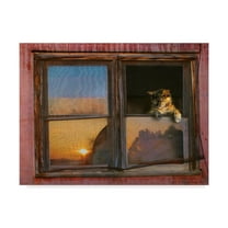 Trademark Fine Art 'Kitten Window' Canvas Art by Chris Vest