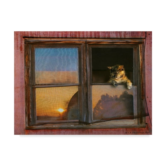 Trademark Fine Art 'Kitten Window' Canvas Art by Chris Vest