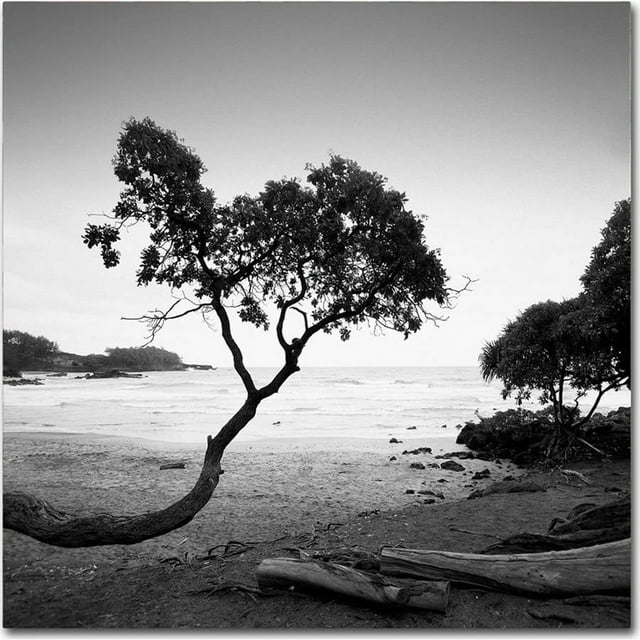 Trademark Fine Art "Koki Beach" Canvas Art by Rob Cherry