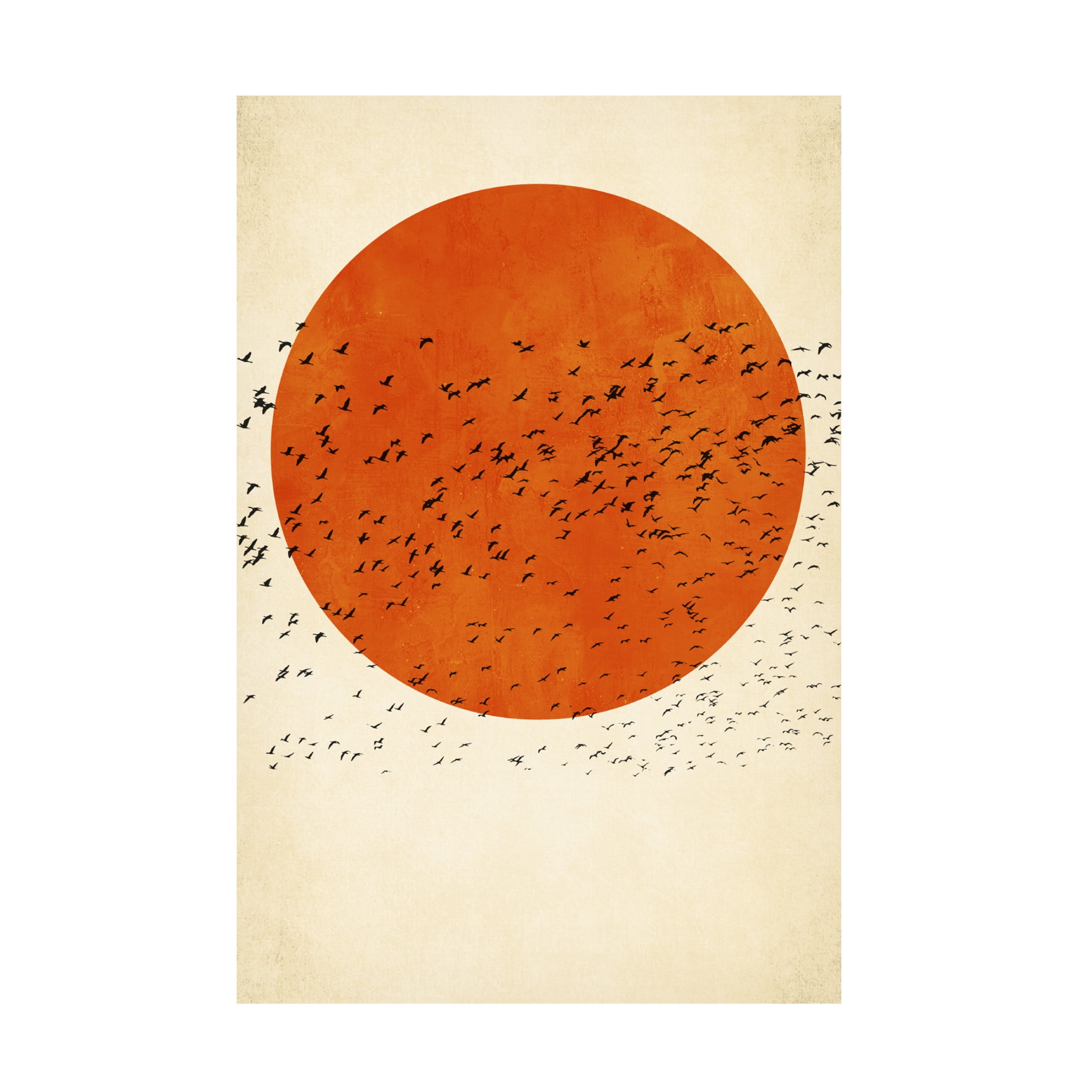 Trademark Fine Art Kubistika   Birds In the Sun Canvas Wall Art