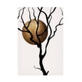 thumbnail image 1 of Trademark Fine Art Kubistika  Mystic Fairytales Canvas Wall Art, 1 of 4
