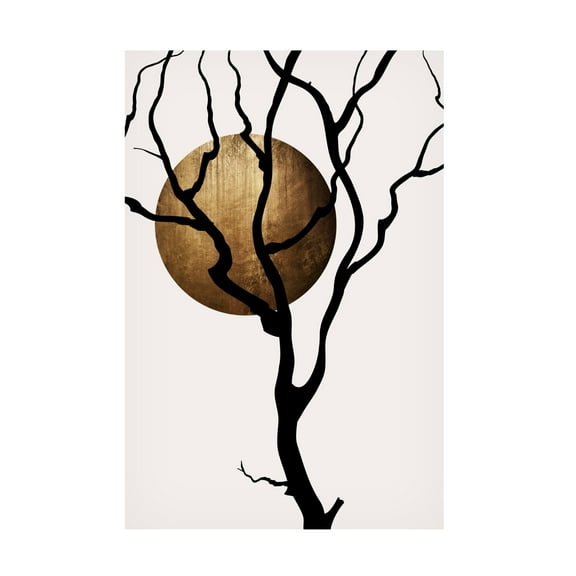 Trademark Fine Art Kubistika  Mystic Fairytales Canvas Wall Art