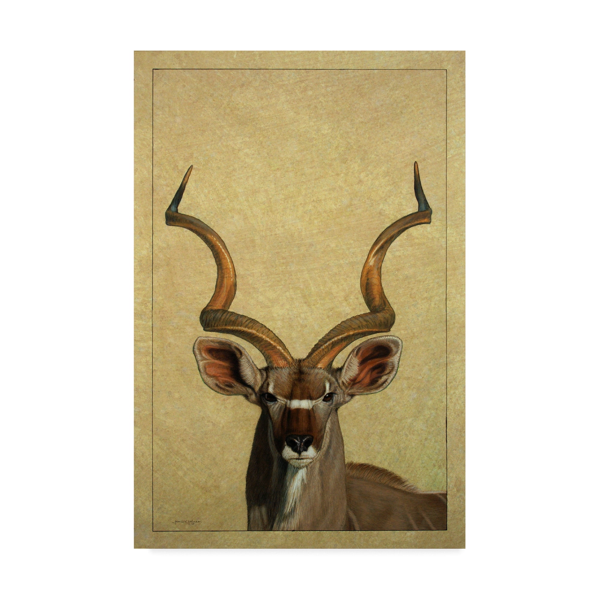 Trademark Fine Art 'Kudu' Canvas Art by James W. Johnson