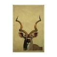 thumbnail image 1 of Trademark Fine Art 'Kudu' Canvas Art by James W. Johnson, 1 of 3