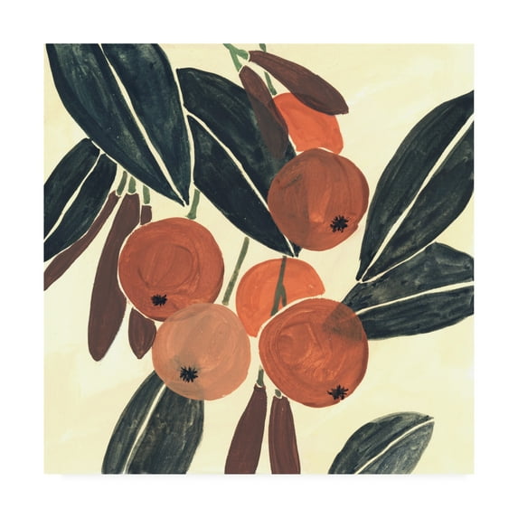 Trademark Fine Art 'Kumquat I' Canvas Art by Melissa Wang