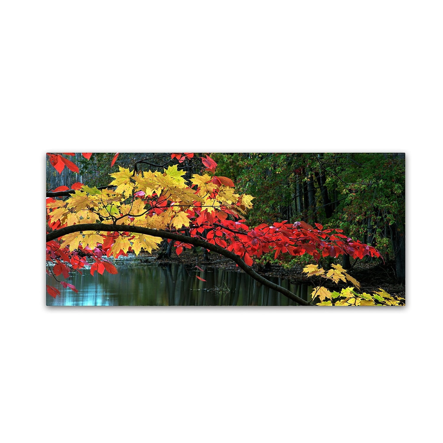 Trademark Fine Art Kurt Shaffer 'Autumn Red and Gold' 8" x 19" Canvas Stretched Art Print (886511964037)