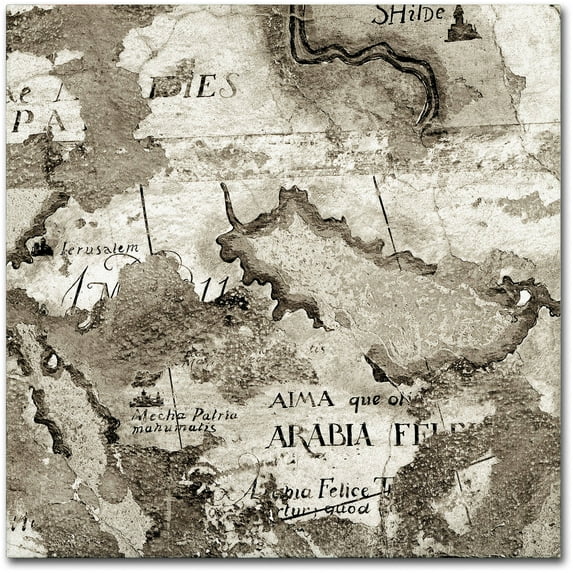 Trademark Fine Art "La Mappa II" Canvas Art by Alan Blaustein