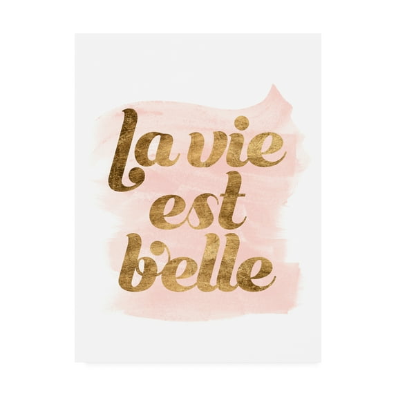 Trademark Fine Art 'La Vie in Pink III' Canvas Art by Grace Popp