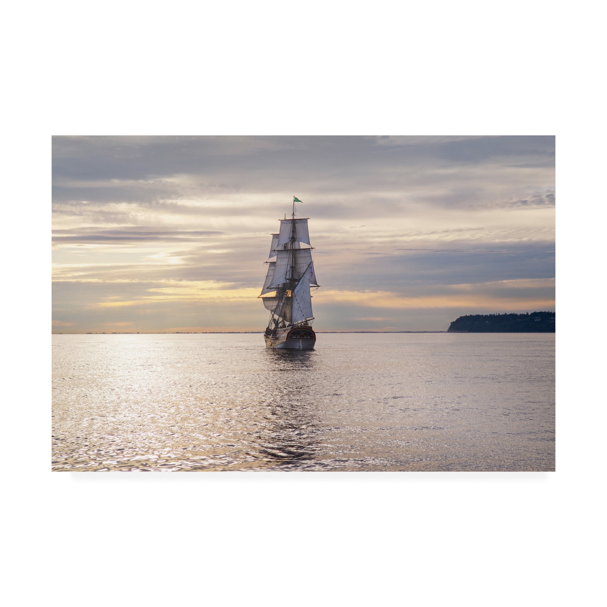 Trademark Fine Art 'Lady Washington III' Canvas Art by Alan Majchrowicz