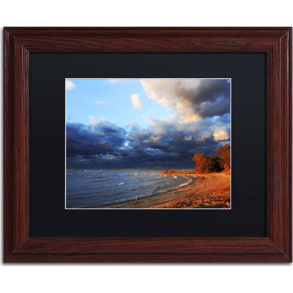Trademark Fine Art "Lake Erie Autumn" Canvas Art by Jason Shaffer, Black Matte, Wood Frame