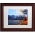 thumbnail image 1 of Trademark Fine Art "Lake Erie Autumn" Canvas Art by Jason Shaffer, White Matte, Wood Frame, 1 of 1
