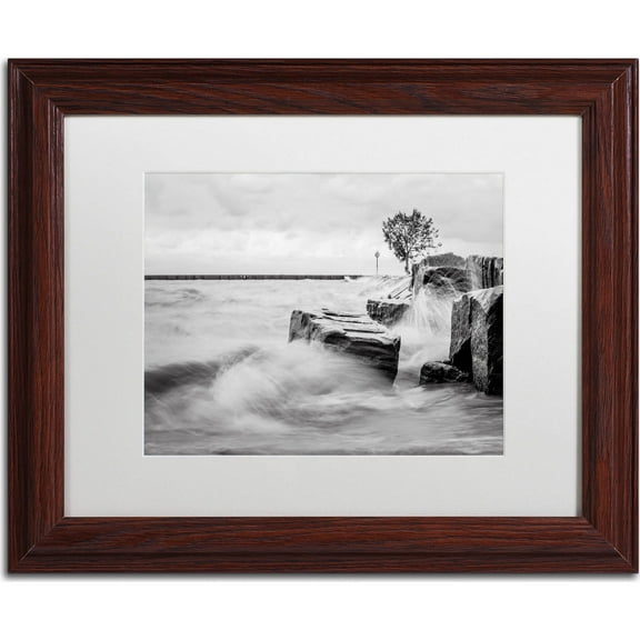 Trademark Fine Art "Lake Erie" Canvas Art by Jason Shaffer, White Matte, Wood Frame