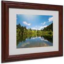 Trademark Fine Art "Lake Maix" Canvas Art by Philippe Sainte-Laudy, Wood Frame