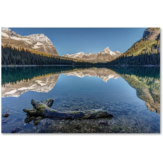 Trademark Fine Art 'Lake O'Hara Reflection' Canvas Art by Pierre Leclerc