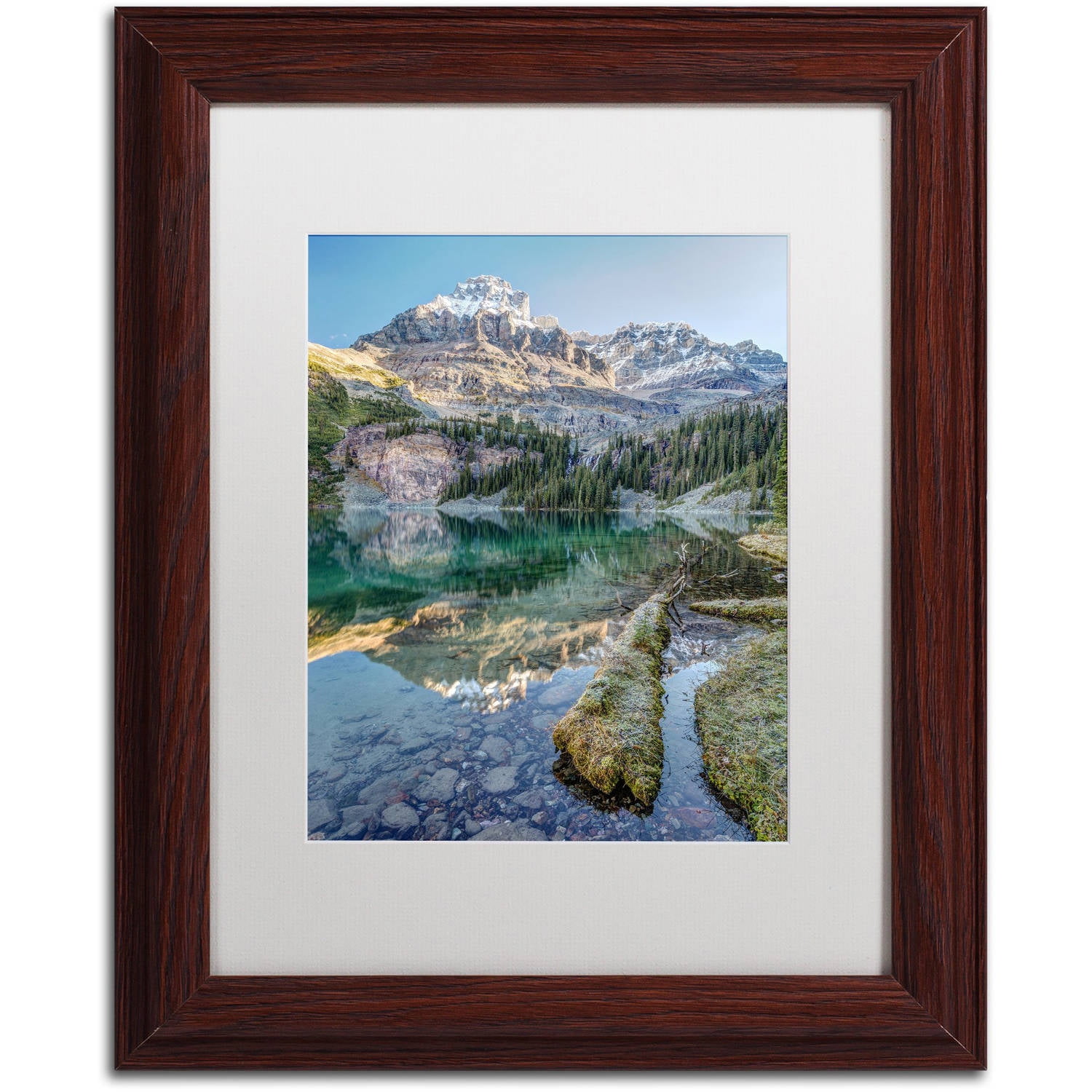 Trademark Fine Art 'Lake O'Hara Scenic Shoreline' Canvas Art by Pierre Leclerc, White Matte, Wood Frame